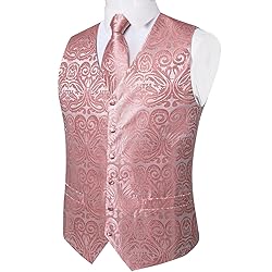 DiBanGu Mens Vest and Tie Set Formal Paisley