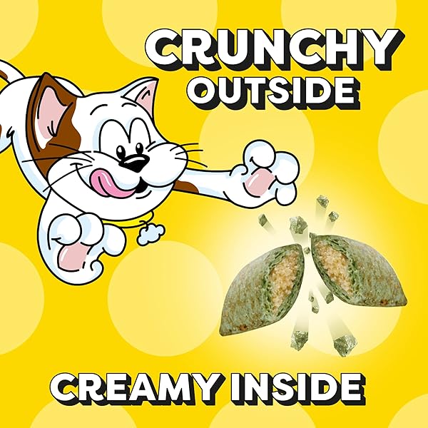 TEMPTATIONS CLASSIC CRUNCHY AND SOFT CAT TREATS BLISSFUL CATNIP FLAVOR, 16 OZ. TUB