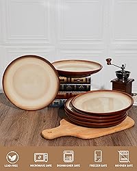 Pokini 10 Inch Dinner Plates Set of 6, Porcelain