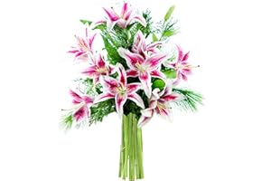 KaBloom PRIME NEXT DAY DELIVERY - Mother’s Day Collection - Holiday Collection: Seasonal Red Stargazer Lilies with Seasonal Greens.Gift for Birthday, Thank You, Valentine, Mother’s Day Fresh Flowers