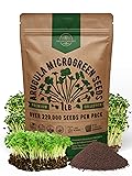 Organo Republic Arugula Sprouting & Microgreens