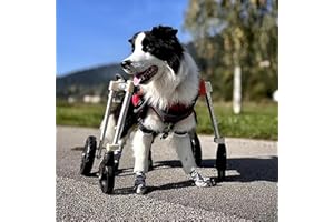Elitix Xs to XXL Dog Wheelchair 4 Wheels can be 2 Wheels, Full Support Wheelchair for a Disabled Dog, Adjustable Dog Knee Brace for Double Rear Leg(Blue,M)