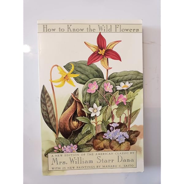 The Folklore of Trees and Shrubs: Martin, Laura C.: 9781564400185