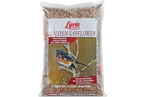 Lyric Golden Safflower Bird Seed for Outside Feeders - Attracts Cardinals, Chickadees, Woodpeckers & More, 12 lb Bag