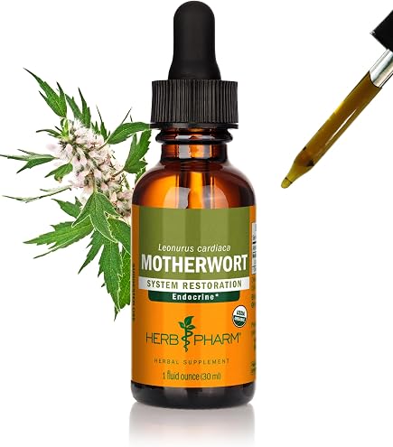 Amazon.com: Nature's Answer Angelica Root with Organic Alcohol, 1