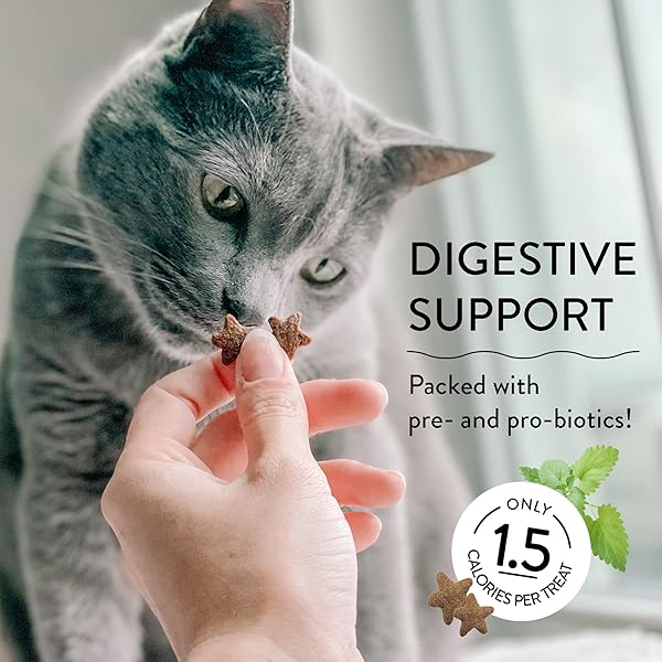 SHAMELESS PETS CELEBRATION BIRTHDAY CRUNCHY CAT TREATS CHICKEN AND CATNIP TREATS WITH DIGESTIVE SUPPORT