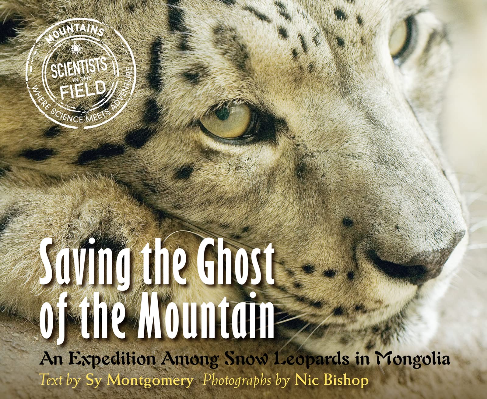 Saving the Ghost of the Mountain: An Expedition