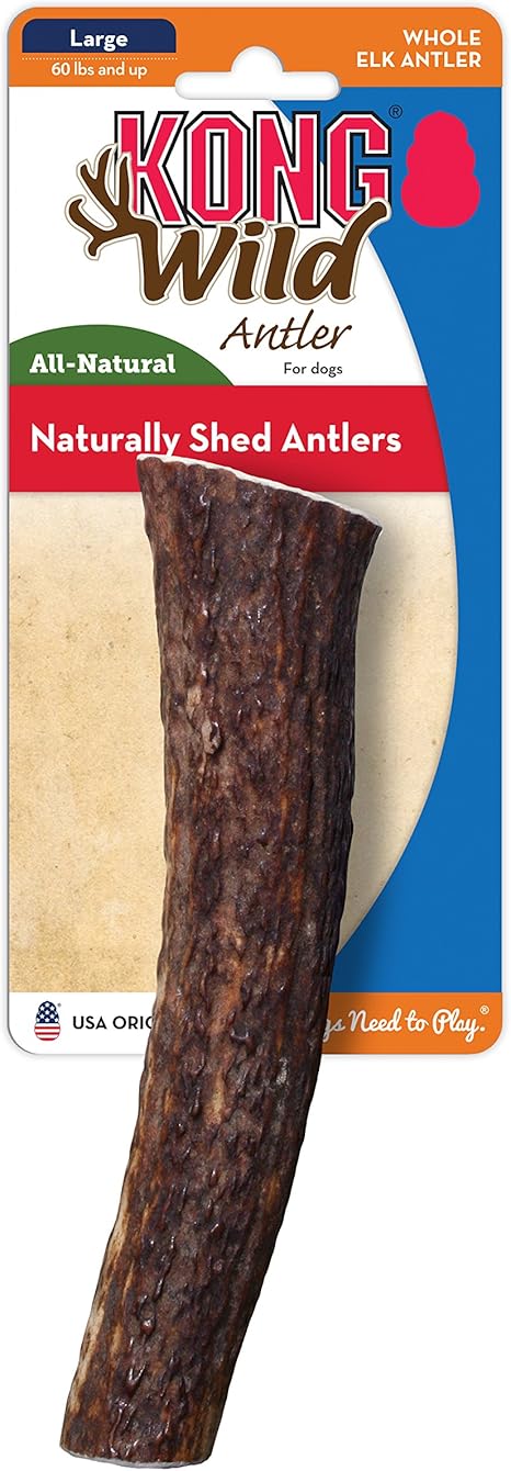 kong wild whole elk antler dog chew