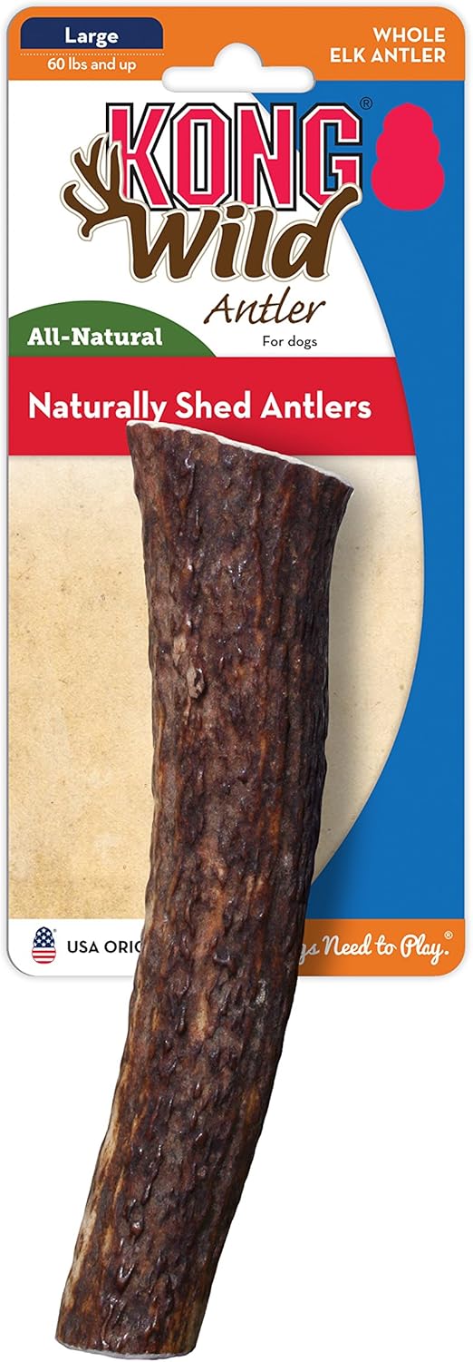 kong wild antler large