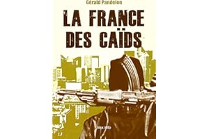 La france des caïds: Le diable au cœur de la République - Essais - documents (French Edition)