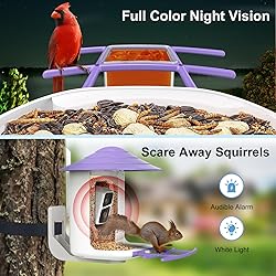 birdsnap® TUC- Smart Bird Feeder with Camera+Solar