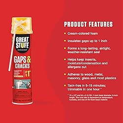 Great Stuff 157911 Insulating Foam Sealant, 20