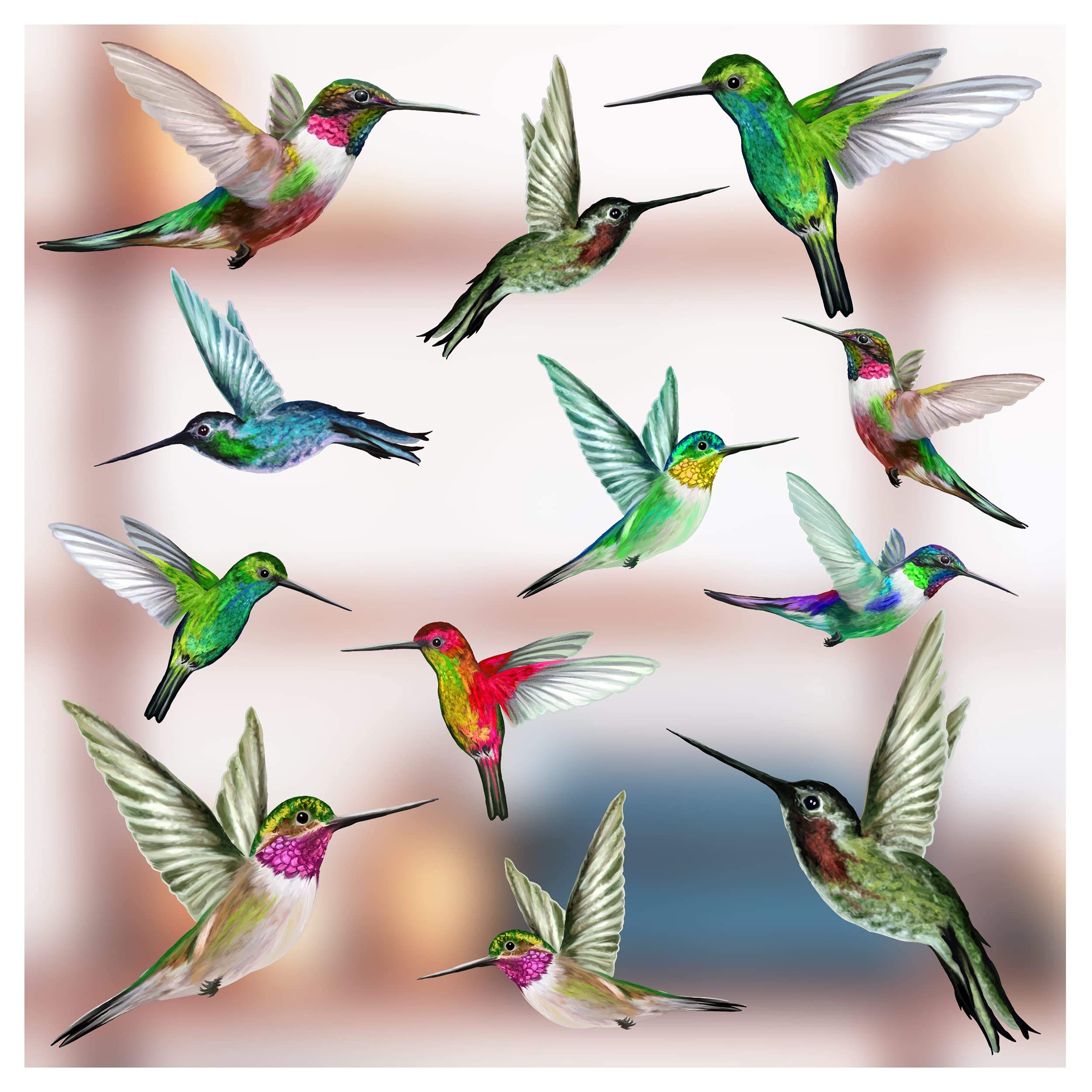 12 Mixed Beautiful Humming Bird Static Cling Window Stickers - Hummingbird Anti Collision Bird Strike Window Stickers - Unique Double Sided Print