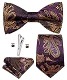 Hi-Tie Mens Purple Gold Paisley Tie Selftie Bowties
