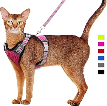 Harnais Et Laisse Pour Chat Harnais Pour Chaton Harnais En Maille Souple Harnais Reglable Pour Gilet De Chat Avec Sangle Reflechissante Amazon Fr Animalerie