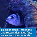 API Melafix Freshwater Fish Bacterial Infection Remedy 473 ml Bottle view 5
