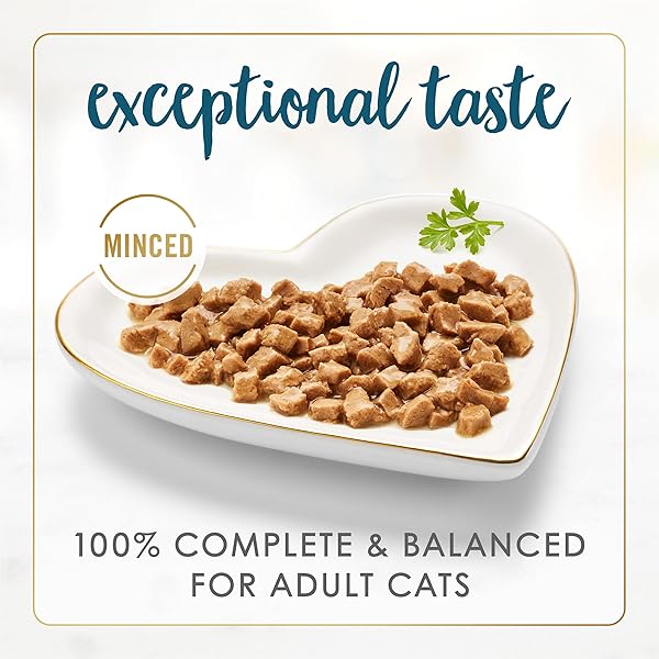 PURINA FANCY FEAST SENIOR WET CAT FOOD 7 YEARS PLUS TUNA FEAST IN GRAVY MINCED – (PACK OF 24) 3 OZ. CANS