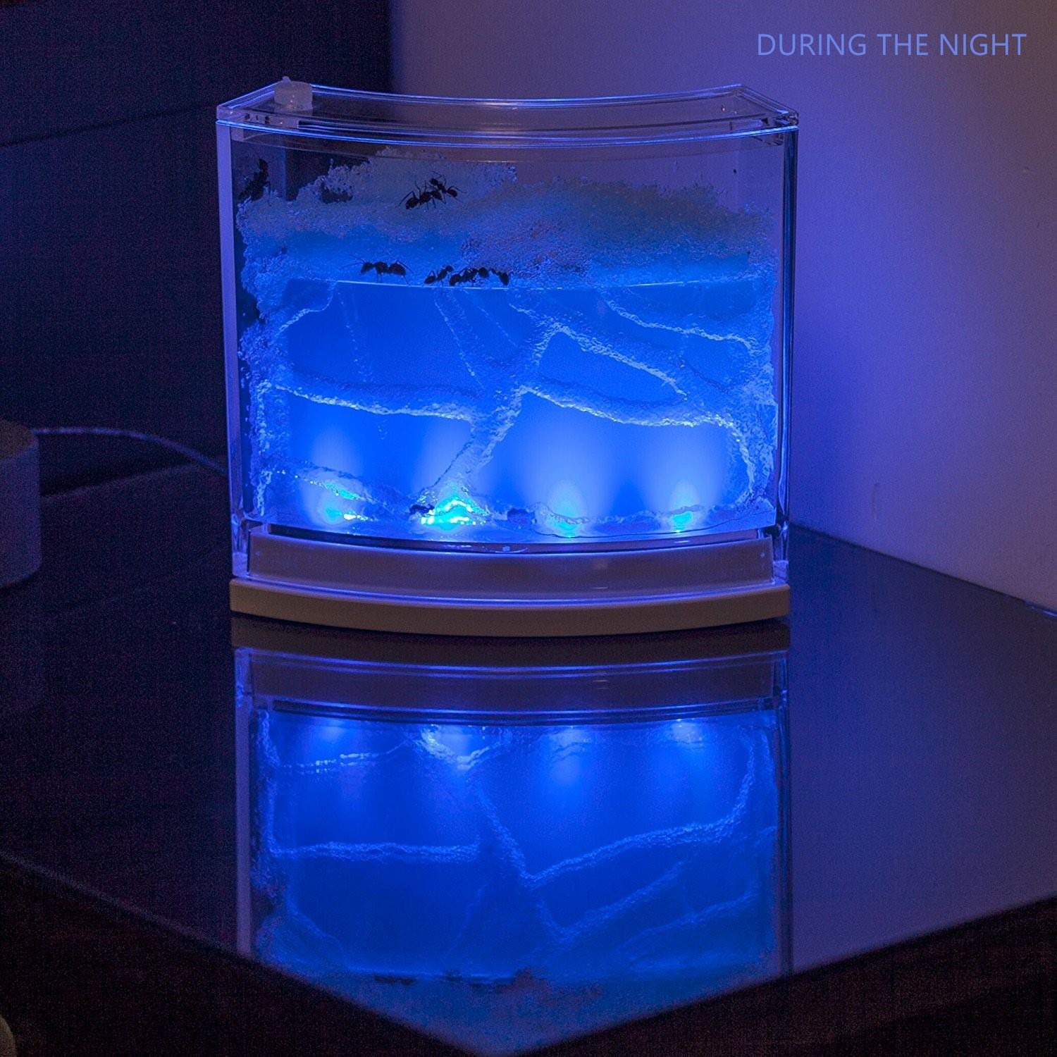 NAVADEAL Ant Farm Habitat for Kids W/LED Light – Great Educational & Science Kit with Nutrient Blue Gel, Observing Ants Create 3D Tunnels to Study Ants Behaviors & Ecosystem (Live Ants not Included)