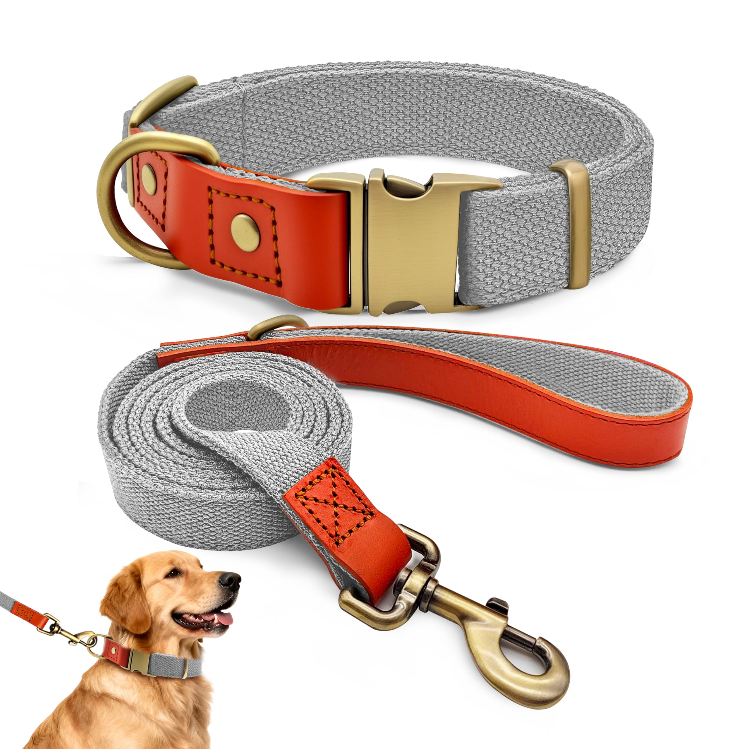 QRDA Dog Collar and Lead Set Silver Grey Personalized Collar Adjustable Tactical Belt for Dogs Medium Large Dogs, XL