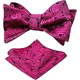 Alizeal Mens 2pcs Paisley Jacquard Self-Tie Bow Tie Pocket Square Set