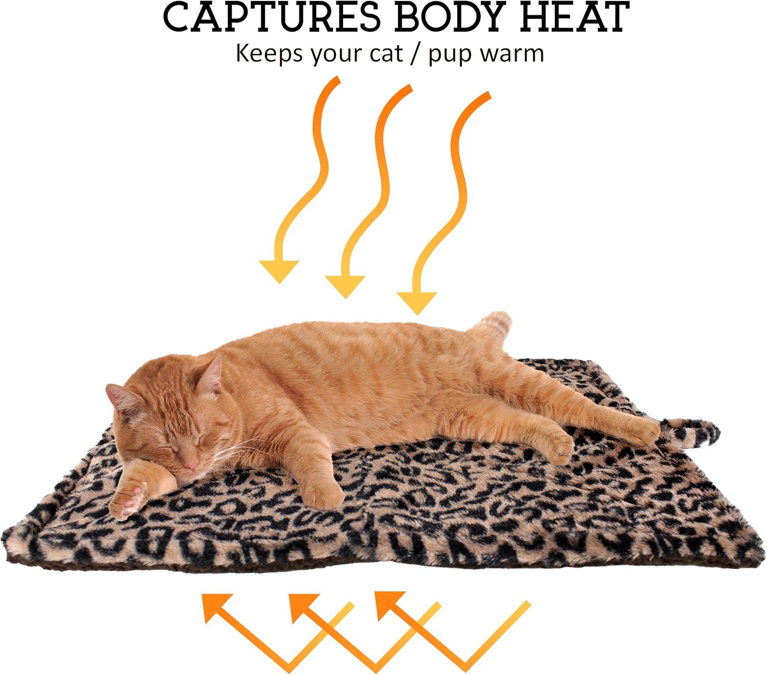 Thermal Cat Pet Dog Warming Bed Mat (Beige, Regular) : Self Warming Pet Bed : Pet Supplies