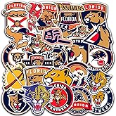 DETACLAD 26 PCS Florida American Hockey Panthers Stickers for Water Bottle, Laptop, Bicycle, Computer, Motorcycle, Travel Case, Car Decal Decoration Sticker