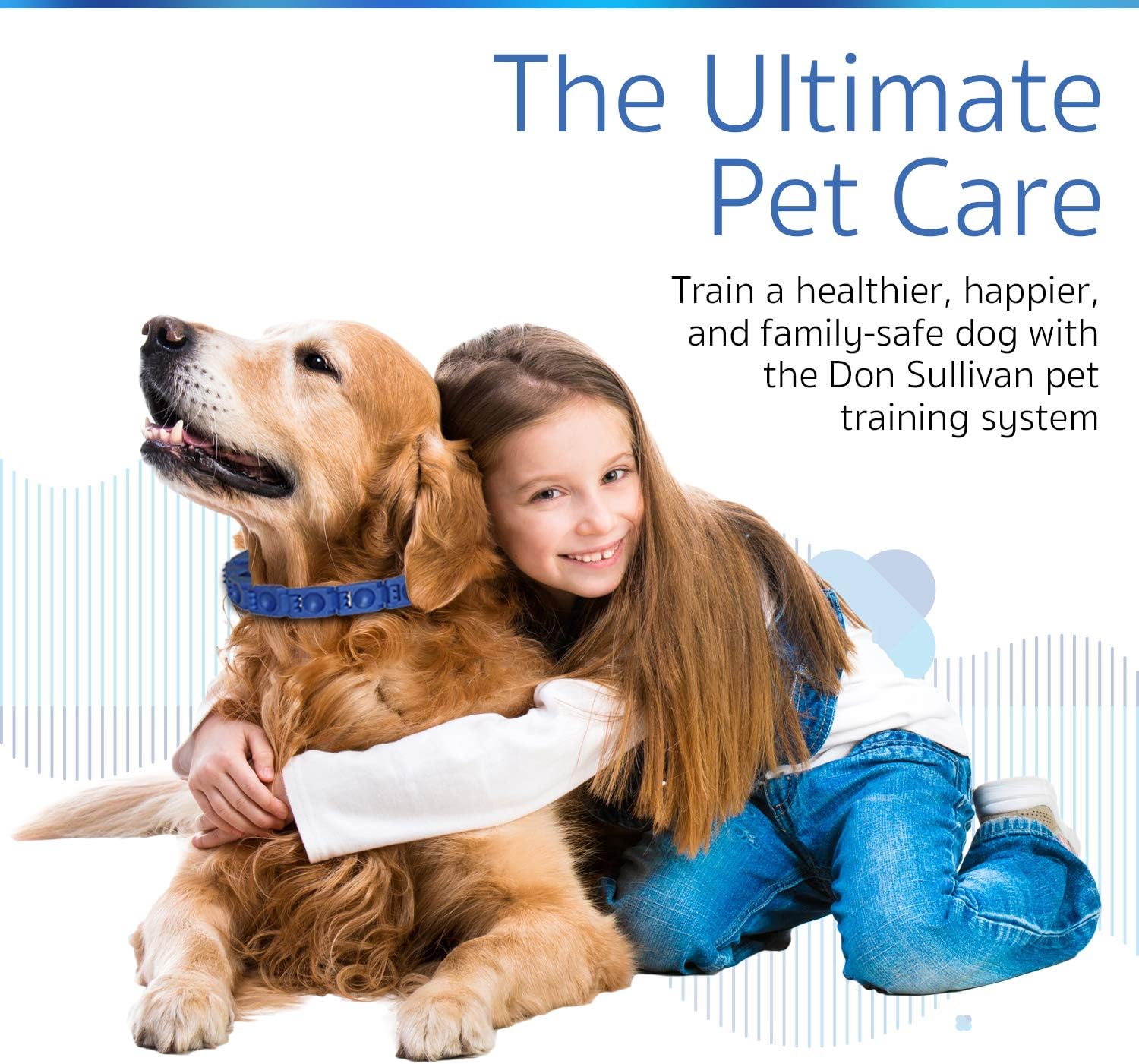 don sullivan's perfect dog training