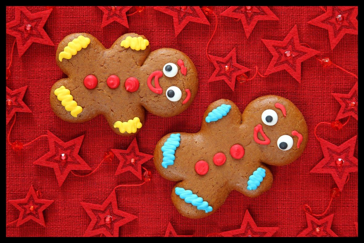 DIGITAL REPUBLIC.COM 40039 Door Mat Polyamide PVC Plastic Phthalate-Free, Impression Photo