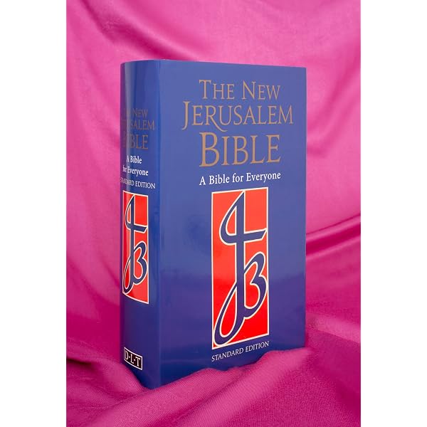 The New Testament New Jerusalem Bible: H Haken: 9780232519662