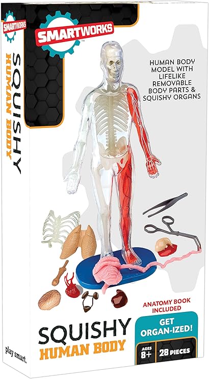 smart works squishy human body