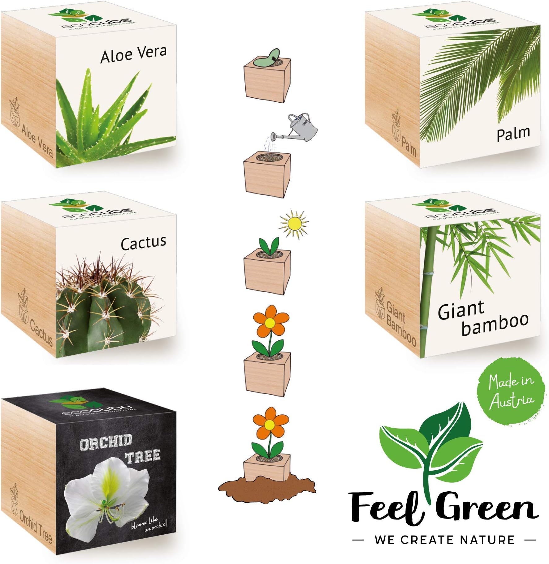 FeelGreen Feel Green Ecocube Exotics Set of 5 Mix Variety Pack| Save Up to 35% | Grow Your Own Kit in A Wooden Cube| Made in Austria | Original, Sustainable & Unusual Gift