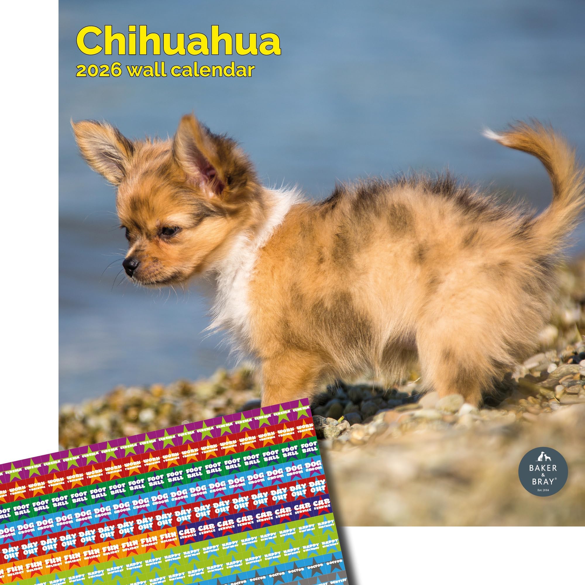 Baker and Bray Chihuahua Calendar 2026, Large Square Wall Calendar With Organisational Stickers, 16 Month, Chihuahua Gift Dog Calendar.