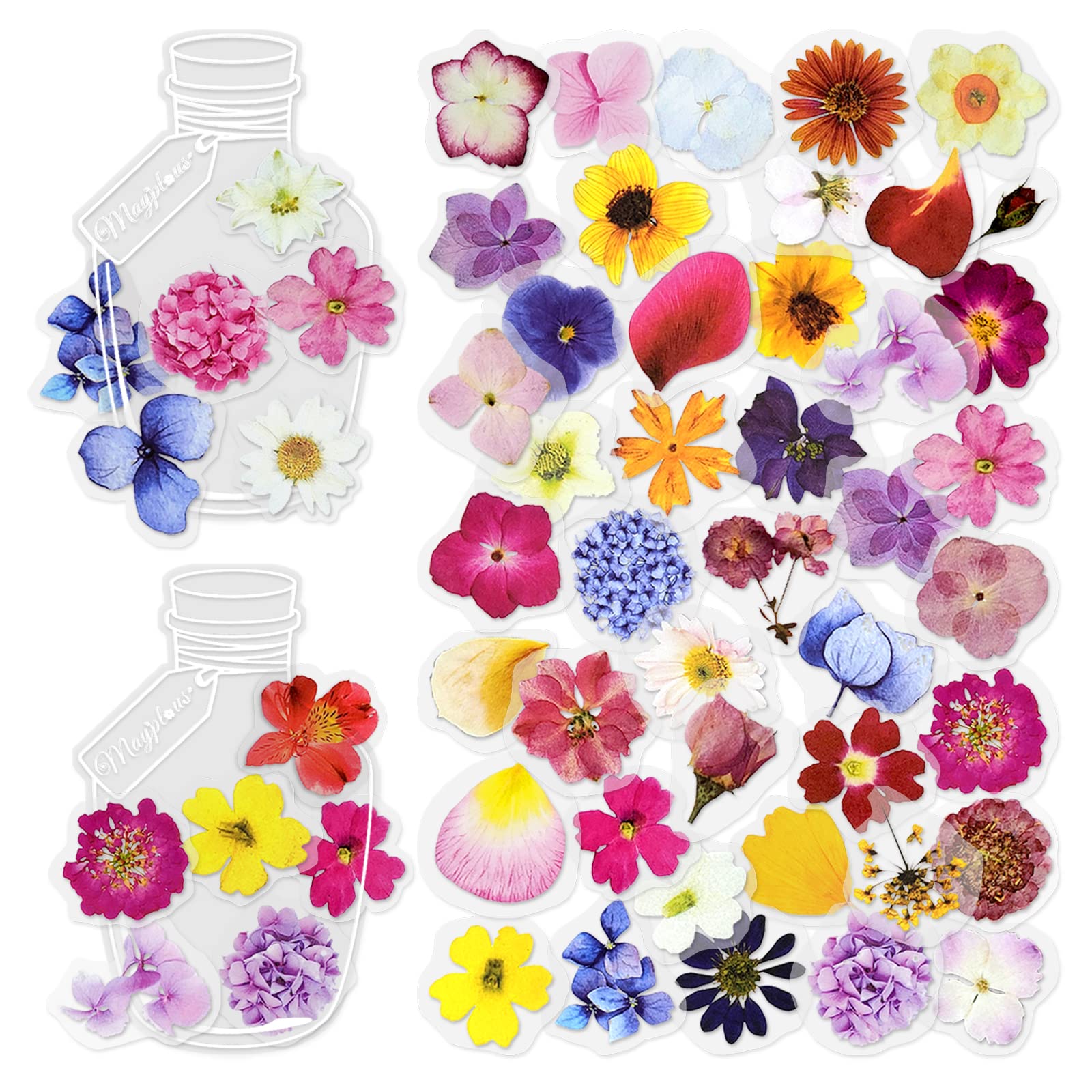 Mayplous Botanical Sticker Collection - 6 Pack Assorted Floral & Plant Decals for Scrapbooking, Journals, Card Making | Decorative Planner Embellishments for Adult Crafting & Memory Keeping (Anson)