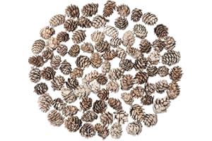 Songjum 100 PCS Mini Snow Pine Cones Christmas Natural Pinecones with White Paint Pine Cones in Bulk for Home Party Crafts Gift Wedding Christmas Tree Winter Decoration