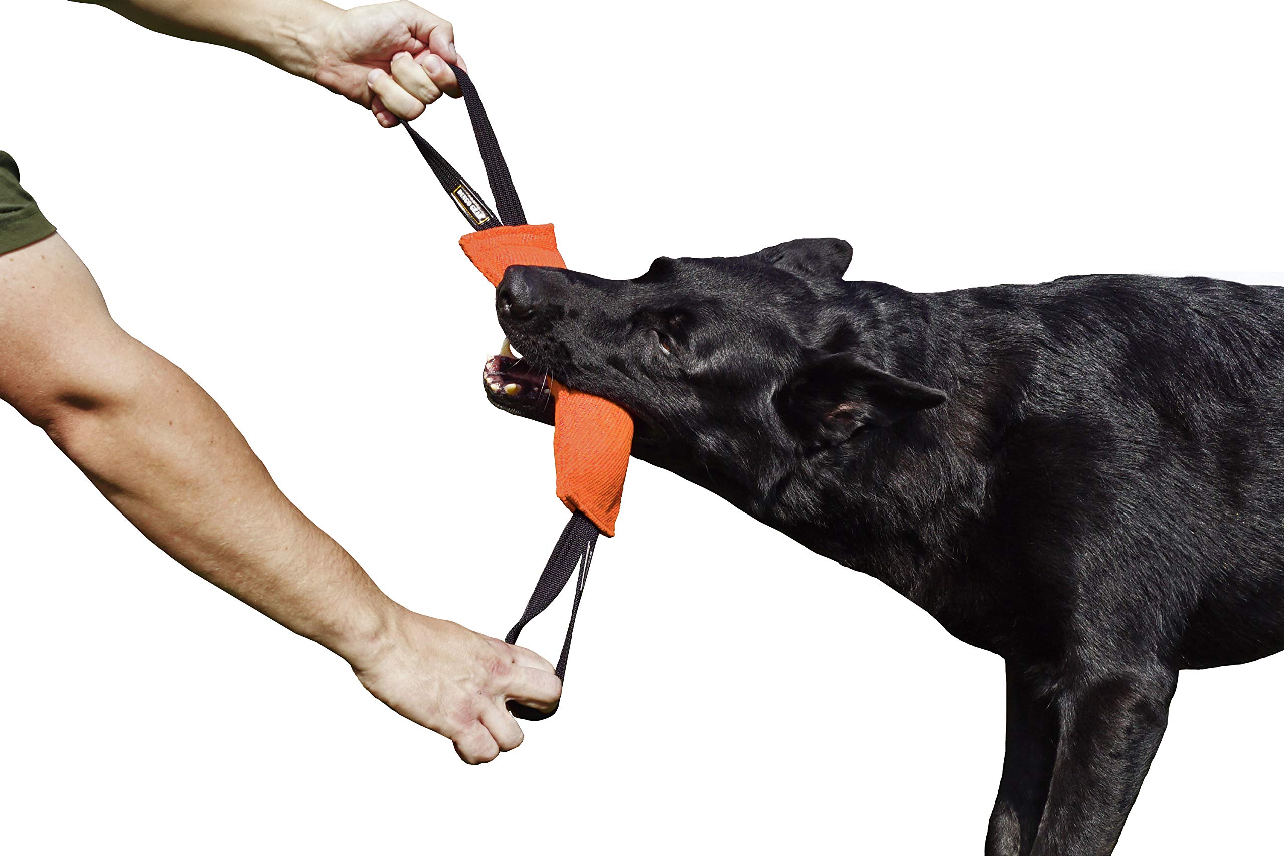 DINGO GEAR Nylcot Bite Tug for Dog Training K9 IGP & Fun, 2 Handles, Orange 28 x 7 cm