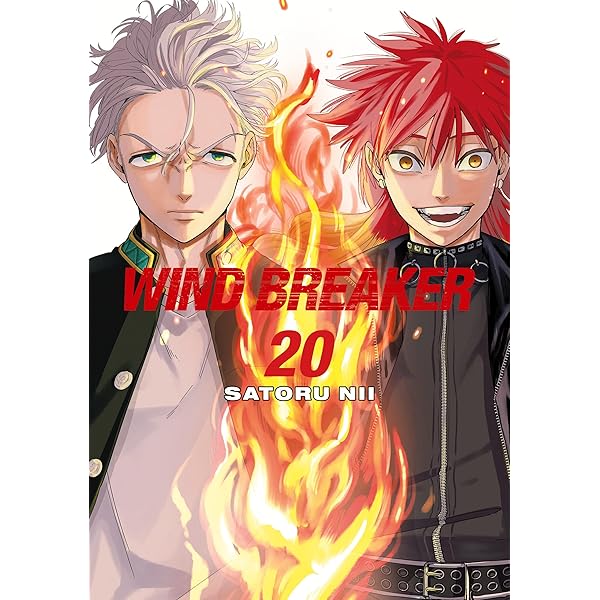 WIND BREAKER 21: Nii, Satoru: 9798888776476: Amazon.com: Books