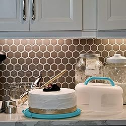 Top Shelf Elements Round Cake Carrier Two Sided