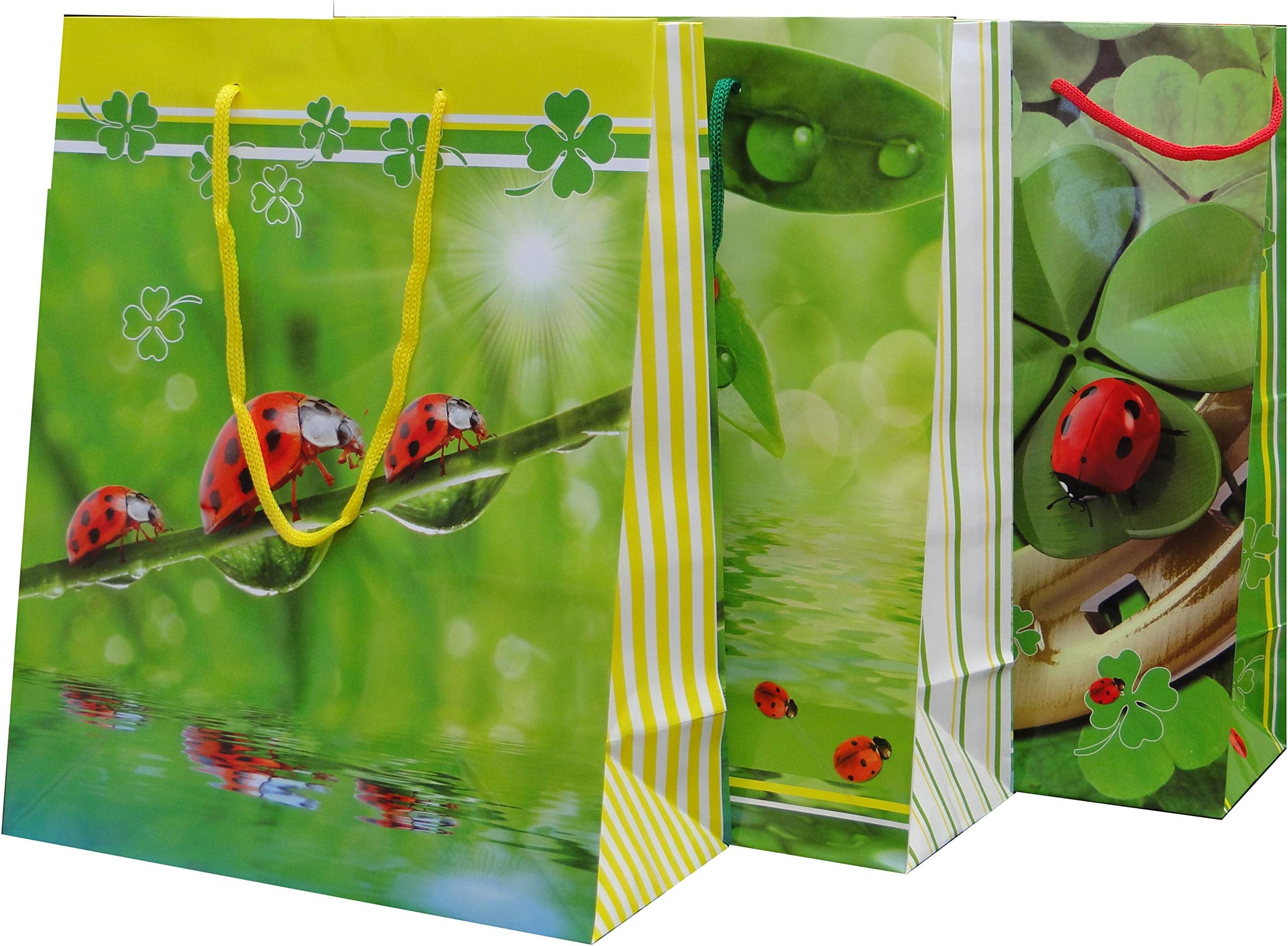 baglandGift Bags, Good Luck 2, Paper – 160 g/m2, Economy Pack – 12 Units, Assorted, 26 cm x 32 cm x 10 cm