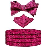 Alizeal Men's Paisley Cummerbund and UNTIED Bow Tie Hanky Set