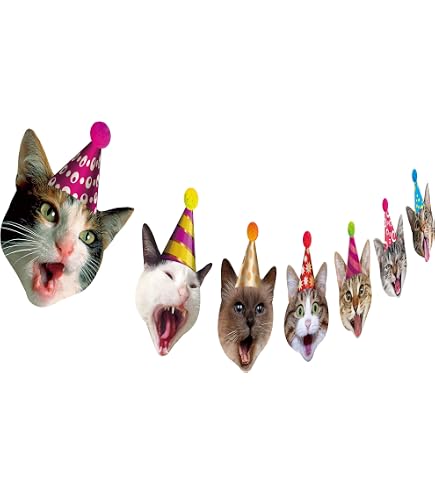 Xo, Fetti Glitzer-Banner "Too Old For Leo" – 152 Cm, Rosa – Lustige Geburtstagsdeko Für 21., 30. Oder Jeden Anderen Geburtstag