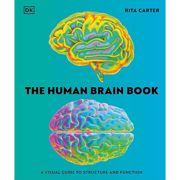 Atlas of Human Brain Connections: 9780198729372: Medicine & Health