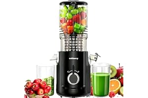 celiberry Cold Press Juicer Machines, 5.3” Large Feed Chute Slow Masticating Juicer for Whole Fruits & Vegetables, 300W Quiet