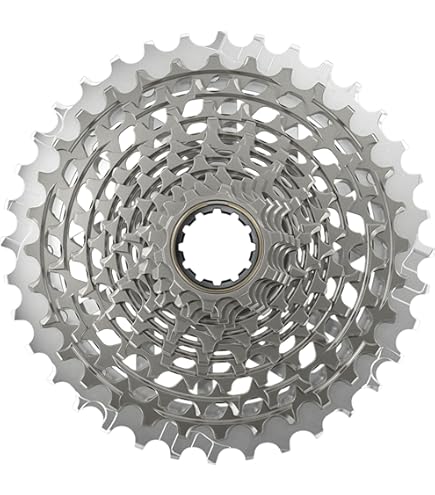 Amazon.com : SRAM RED AXS 2x Power Meter Chainring Kit - 50/37t