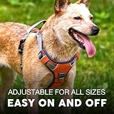 Embark Pets Adventure Dog Harness XL Orange Front Back Leash Attachments view 5