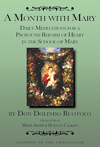 Download A Month with Mary: Daily Meditations for a Profound Reform of Heart in the School of Mary (English Edition) PDF