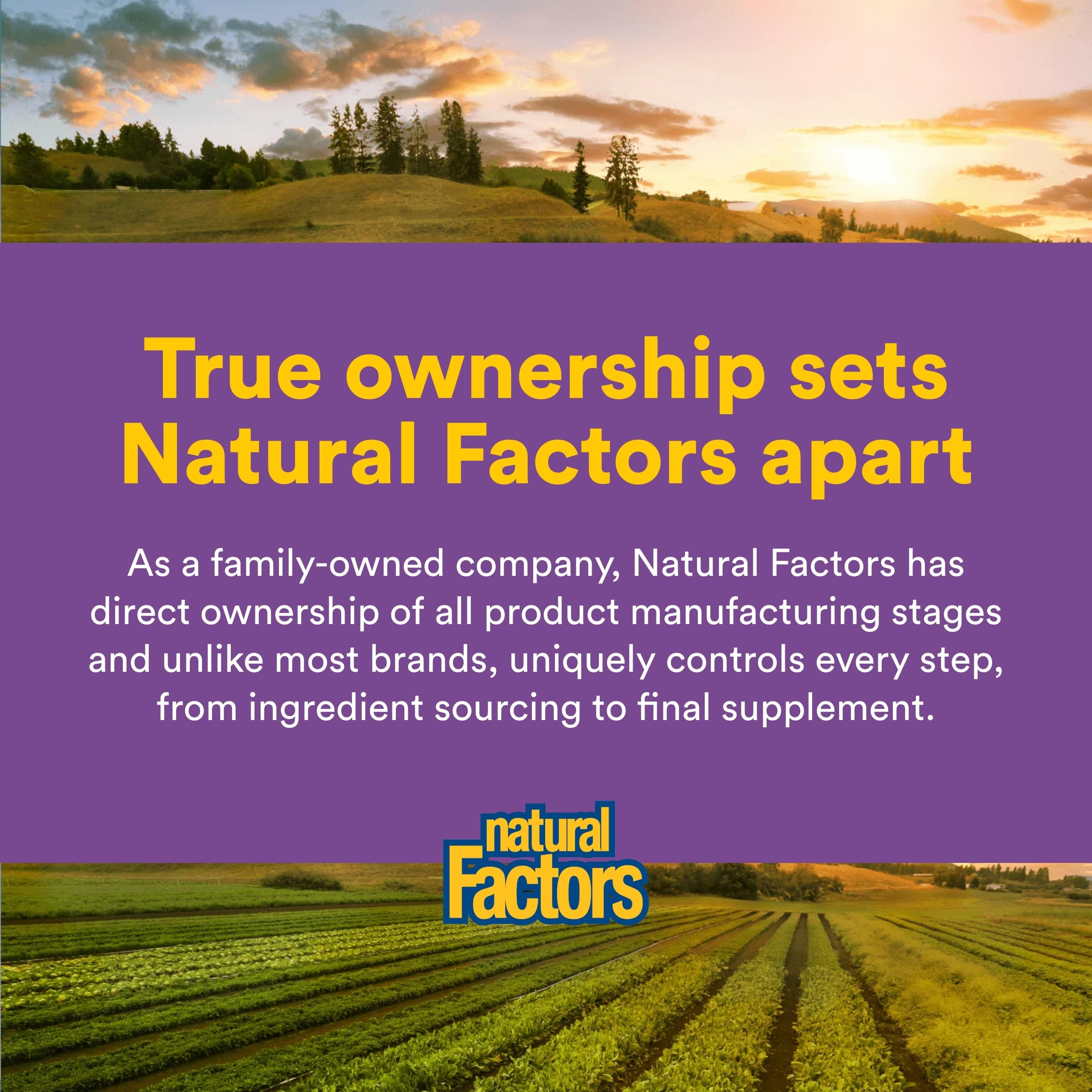 Natural Factors, Stress-Relax Affron Saffron Extract 28 mg, 30 Vegetarian Capsules