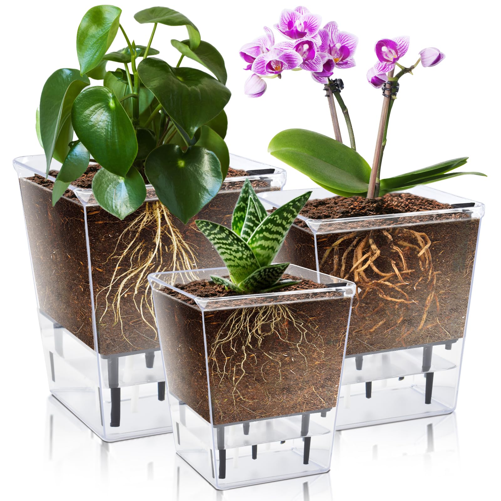Photo 1 of **PARTIAL SET ONLY 2** IWNTWY Self Watering Pots Set, 3 Pack 5/4.1/2.7 Inch Self Watering Pot for Indoor Plants, Clear Flowers Pot Planter with Deep Reservoir for Spider Plant, Orchid, African Violet