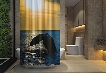 Amazon Com Asdecmoly Eco Friendly Shower Curtain Hooks Resistant