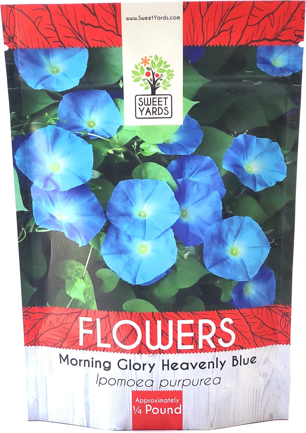 Morning Glory Seeds Heavenly Blue Bulk 1/4 Pound Bag