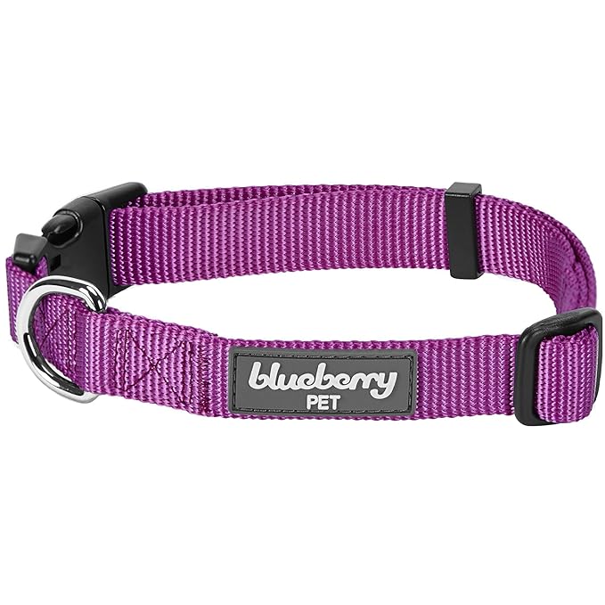 Blueberry Pet Classic Dog Collar, Violet, XSmall, Neck 8"11", Collars